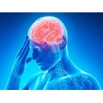 Лечение и профилактика инсульта Лечение и профилактика инсульта